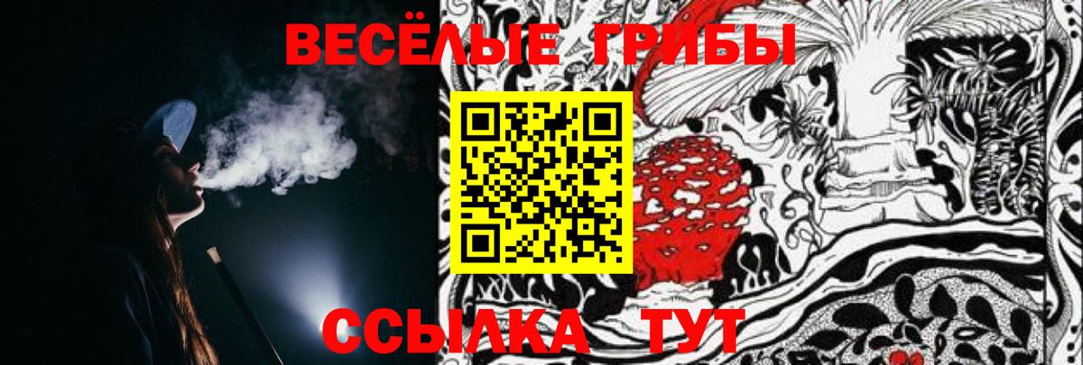 Галлюциногенные грибы Psilocybe Серпухов