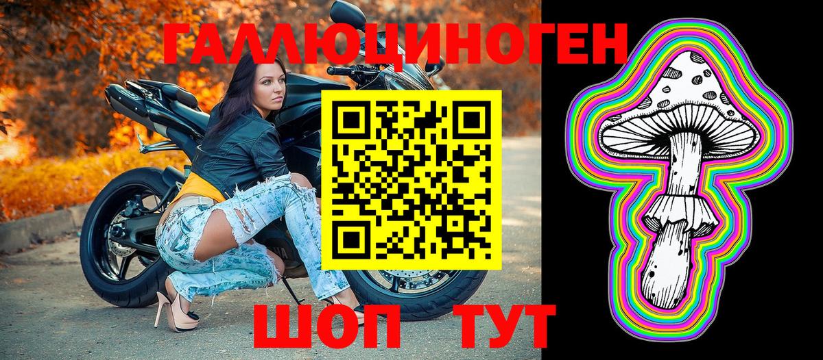 как найти   Вход с VPN  Серпухов  Псилоцибиновые грибы мухоморы 